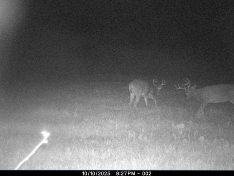 12167 Mantua Center Road, Mantua, OH 44255 Photo 22