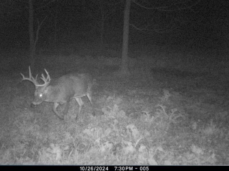 12167 Mantua Center Road, Mantua, OH 44255 Photo 23