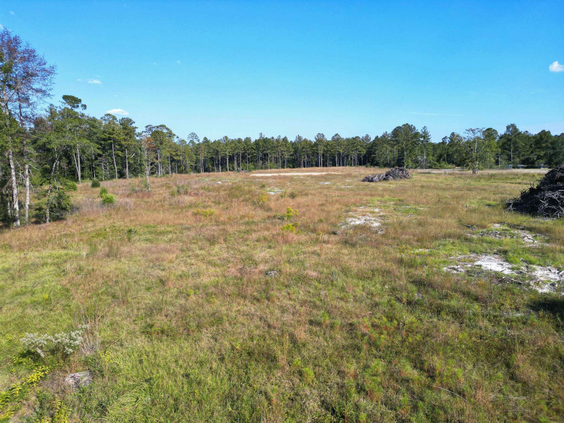 17752 NE Arnold Kelly Road, Hosford, FL 32334 Photo