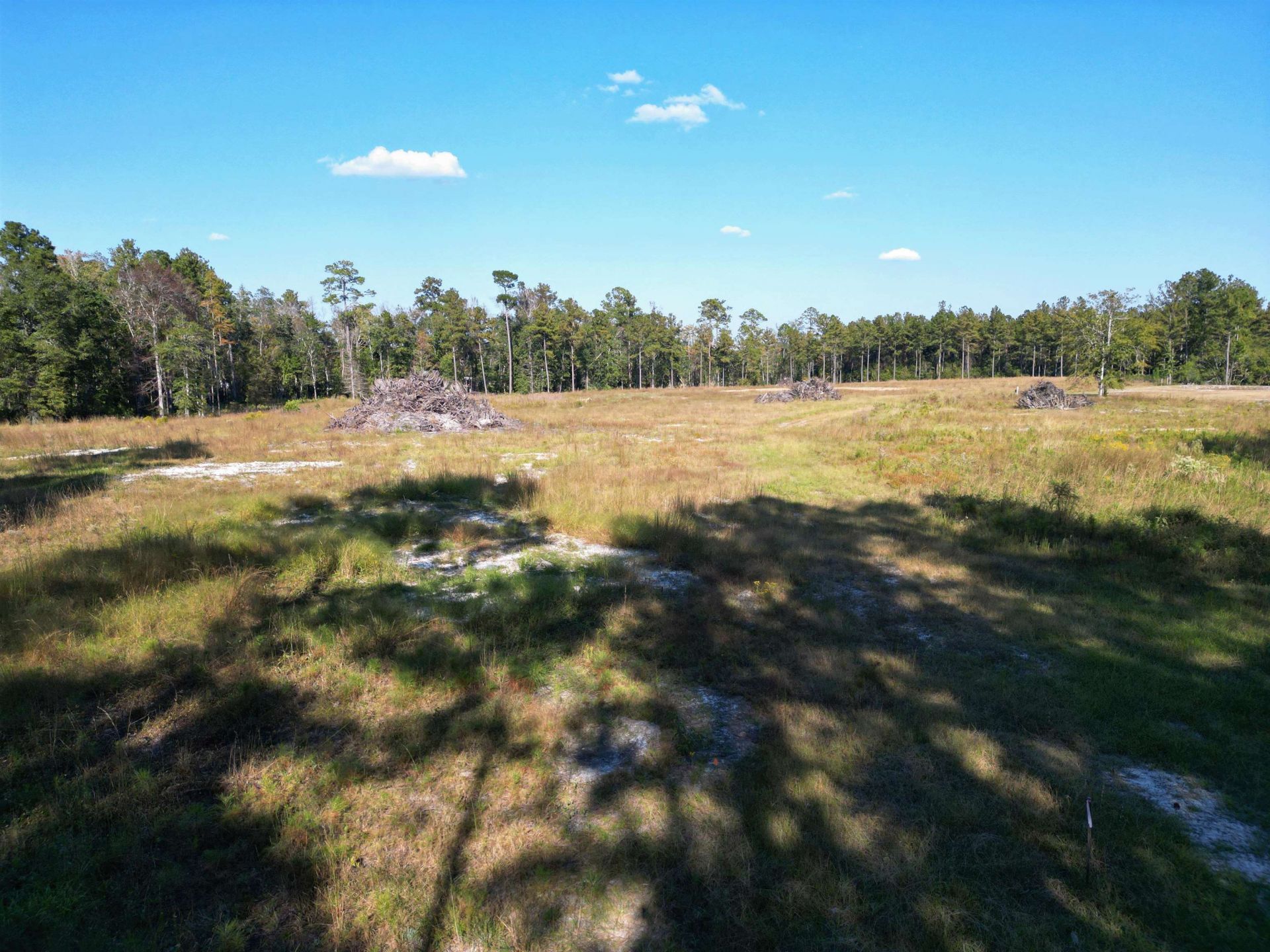 17752 NE Arnold Kelly Road, Hosford, FL 32334 Photo
