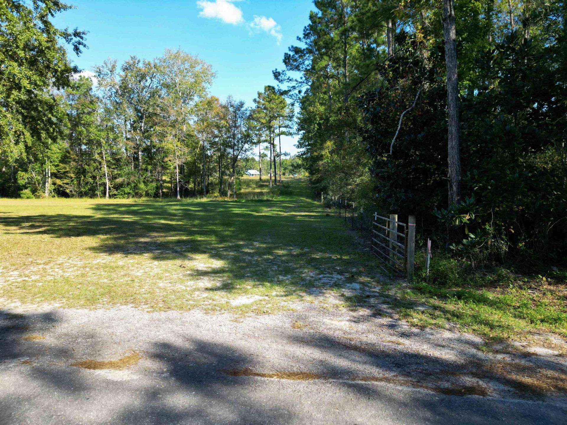 17752 NE Arnold Kelly Road, Hosford, FL 32334 Photo