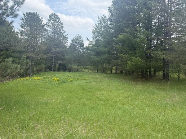 88 Linksview Way, Gladwin, MI 48624