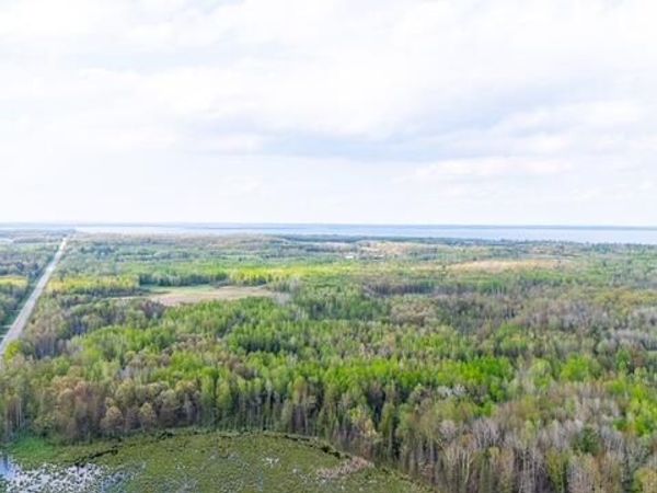 41.85 AC S Harrison Road, Houghton Lake, MI 48629