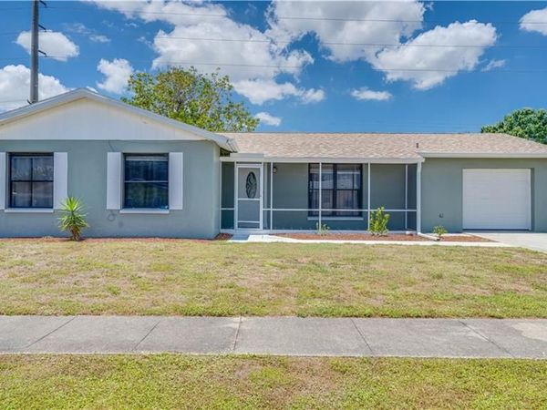 1133 Lovely LN , NORTH FORT MYERS, FL 33903