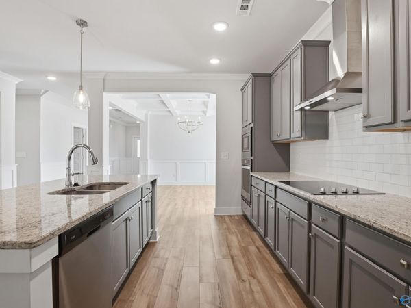 101 Brighton Lake Court, New Market, AL 35761