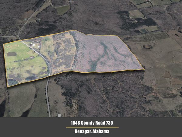 1048 County Road 730, Henagar, AL 35978