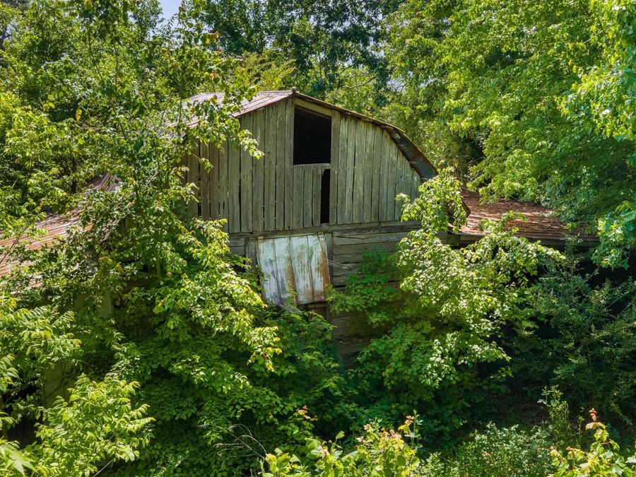 Property Image 39