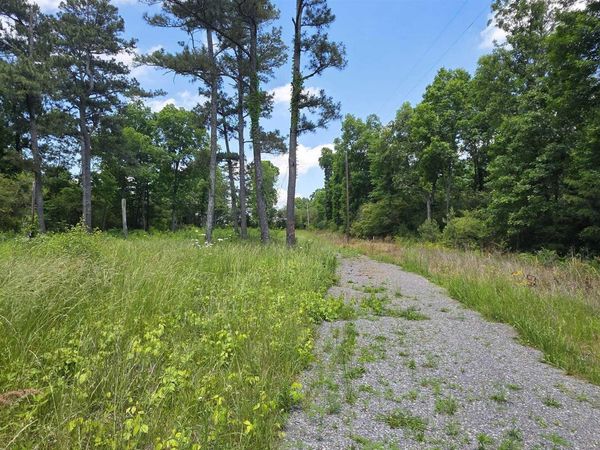 Lot 1 Shankles Circle, Rainsville, AL 35986
