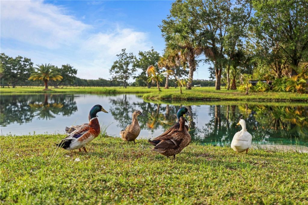 5250 21st Street Sw, Vero Beach, FL 32968 Photo
