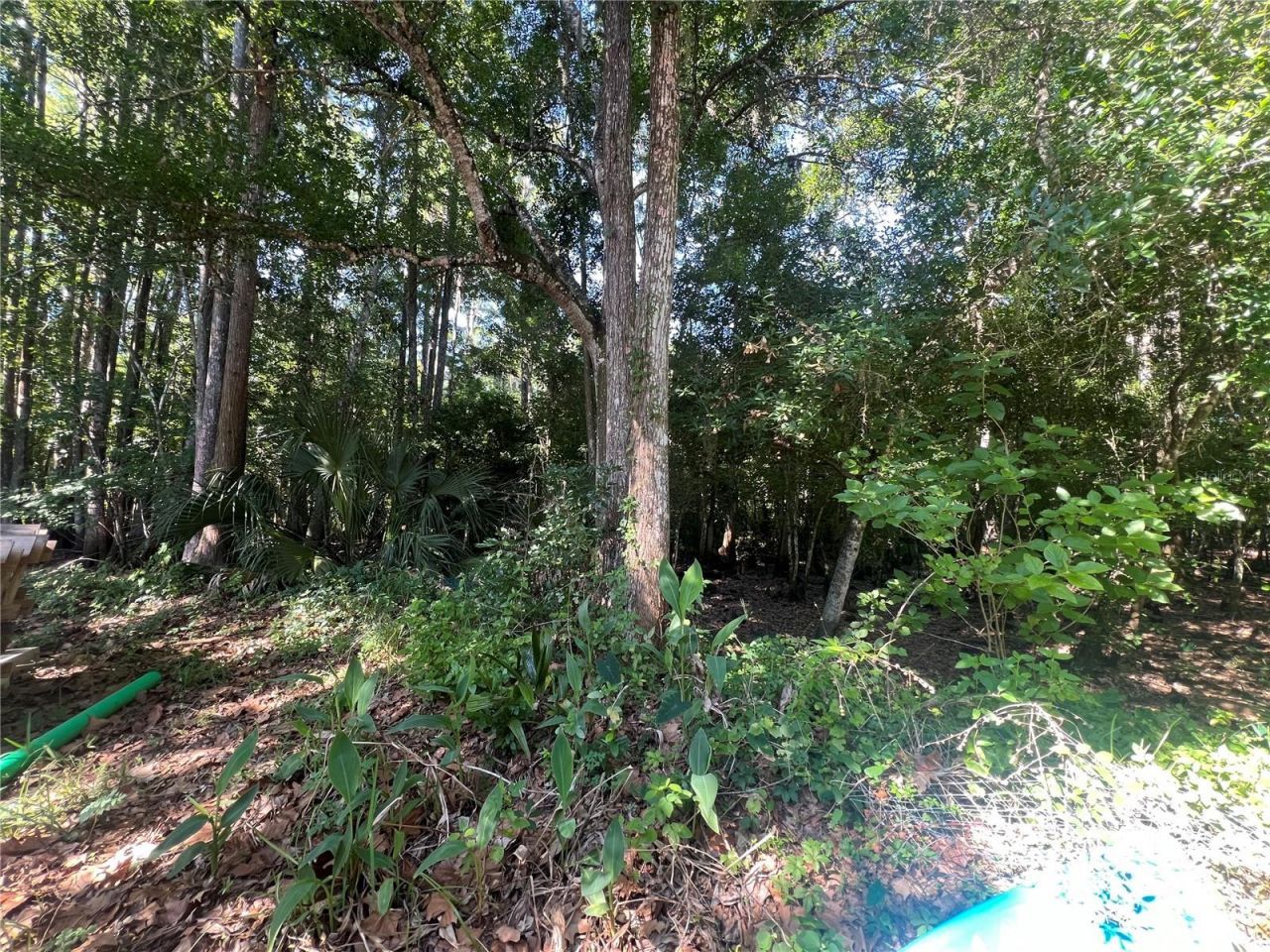 9714 Mendel Drive, New Port Richey, FL 34654 Photo