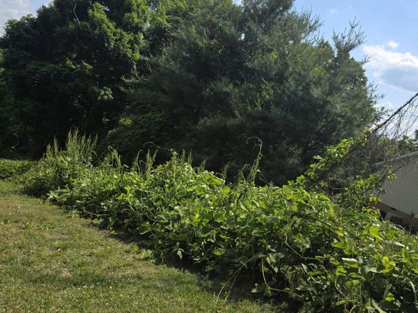Gregory Lane, Maynardville, TN 37807