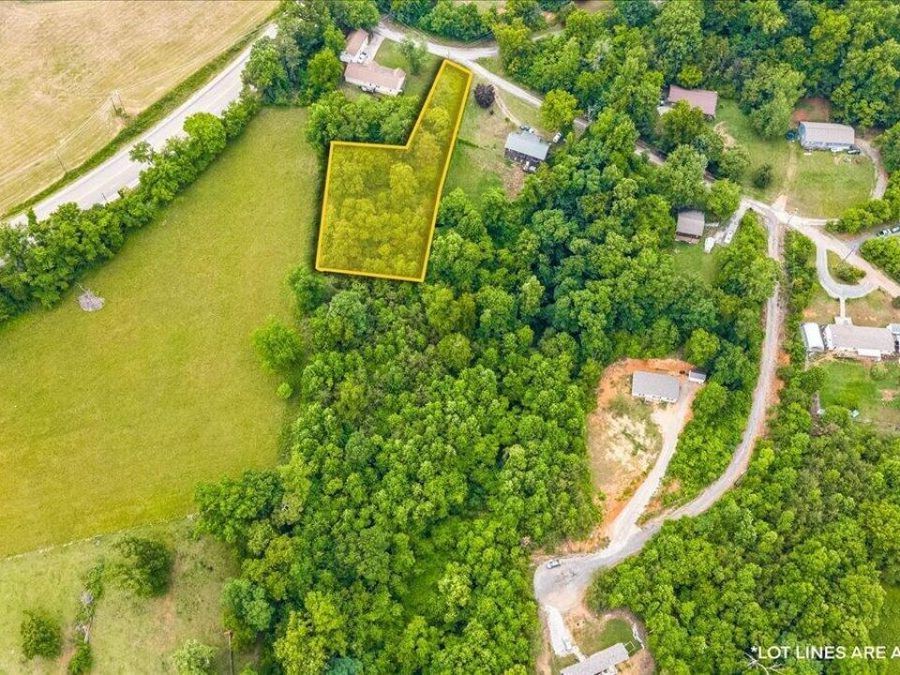 Property Image 9