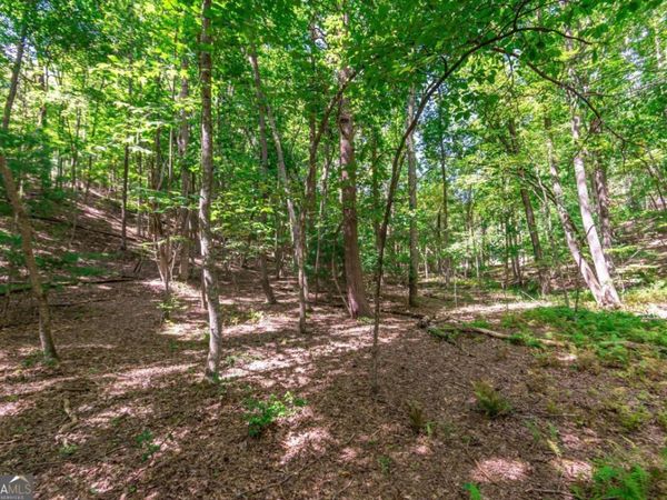 LOT 22 Meadow Brook Trail, Morganton, GA 30560