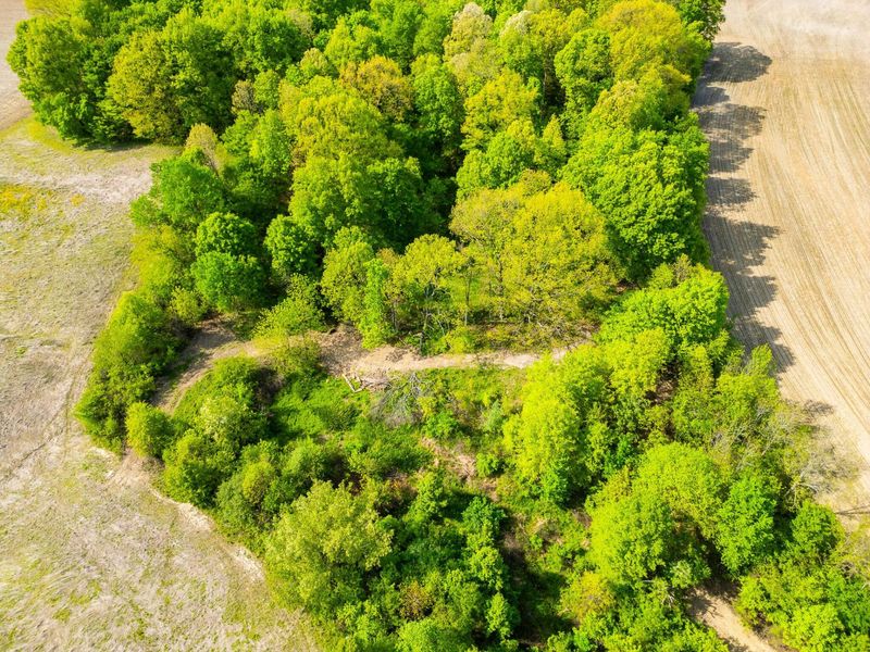 5123 Schoolhouse Road , Frazeysburg, OH 43822 Photo 5