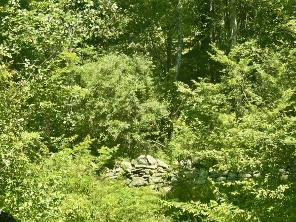 Lot 1 Owego Turnpike , Hawley, PA 18428