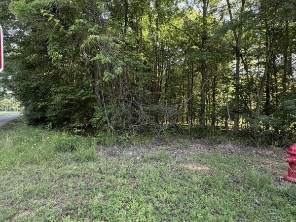 Lot 1023 Cove, Baneberry, TN 37890