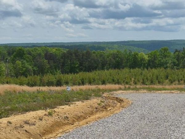 47 Pineview Road, Dunlap, TN 37327