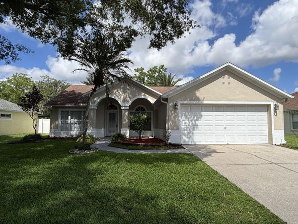 1327 BIG SKY DRIVE , WESLEY CHAPEL, FL 33543