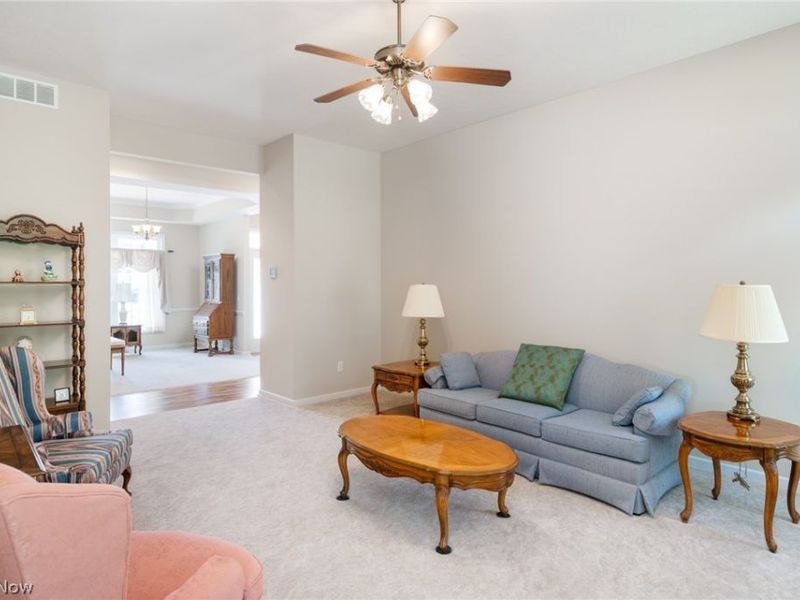 987 W Martin Avenue, Amherst, OH 44001 Photo 28