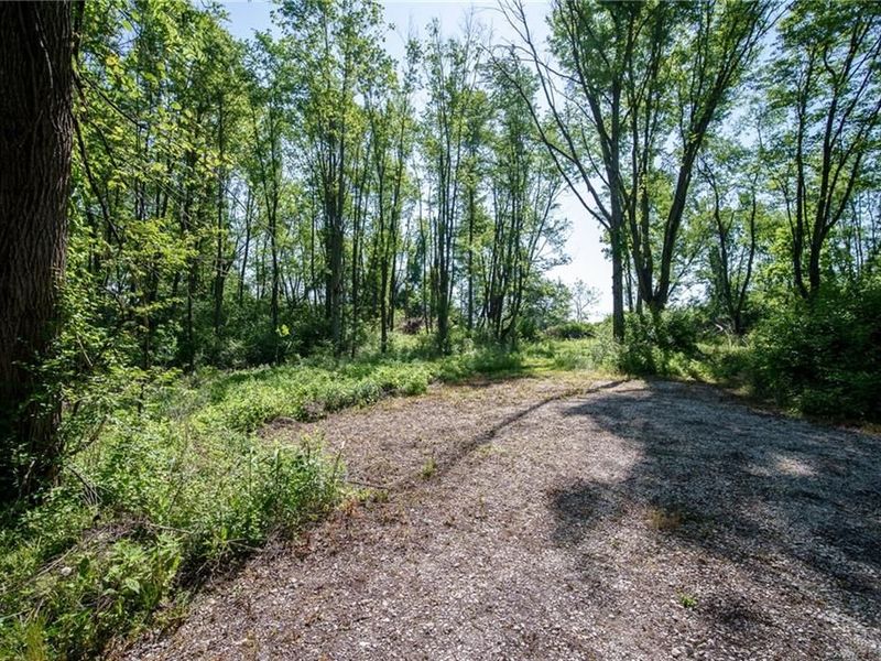 5236 Springfield Xenia Rd, Green Township, OH 45506 Photo 8