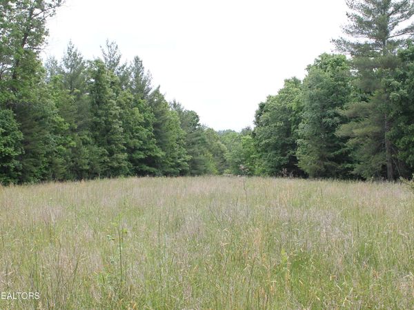 232 Wright Cemetery Rd, Allardt, TN 38504