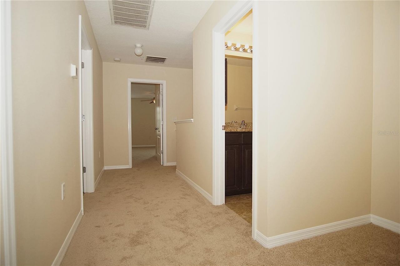 11406 Marbella Terrace Street, Tampa, FL 33637 Photo