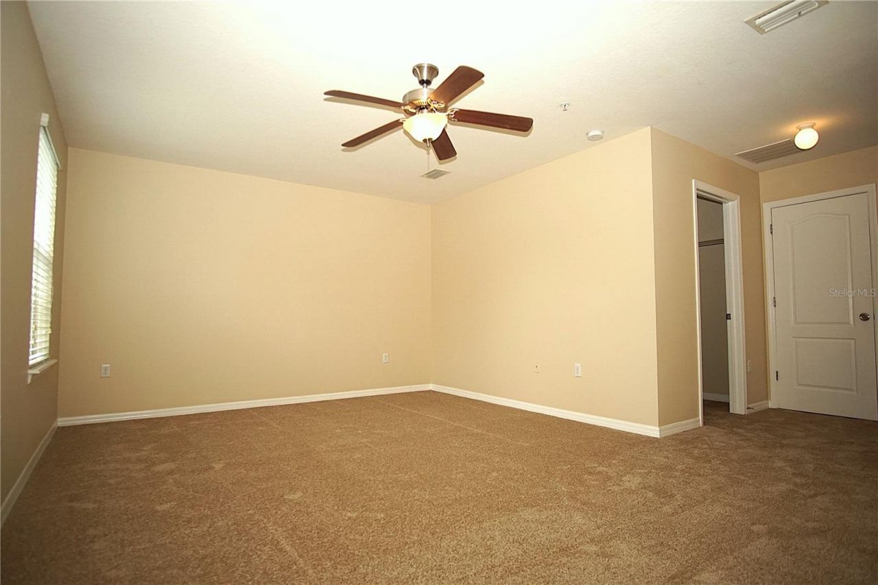 11406 Marbella Terrace Street, Tampa, FL 33637 Photo