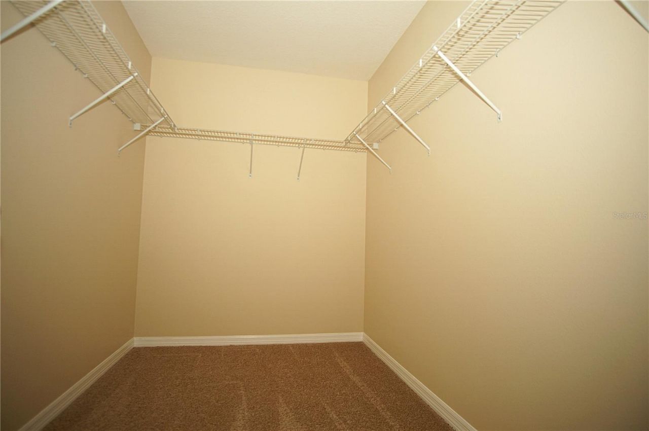 11406 Marbella Terrace Street, Tampa, FL 33637 Photo
