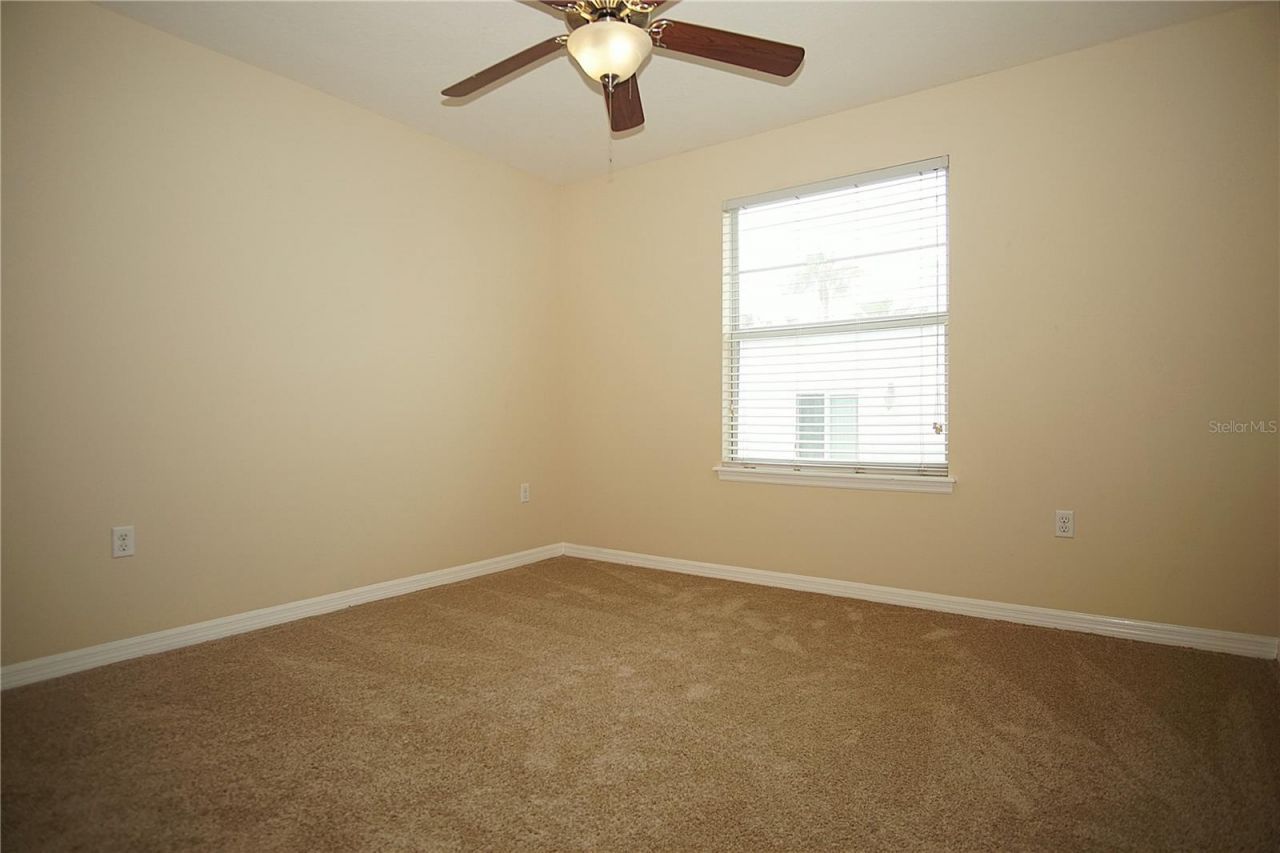 11406 Marbella Terrace Street, Tampa, FL 33637 Photo
