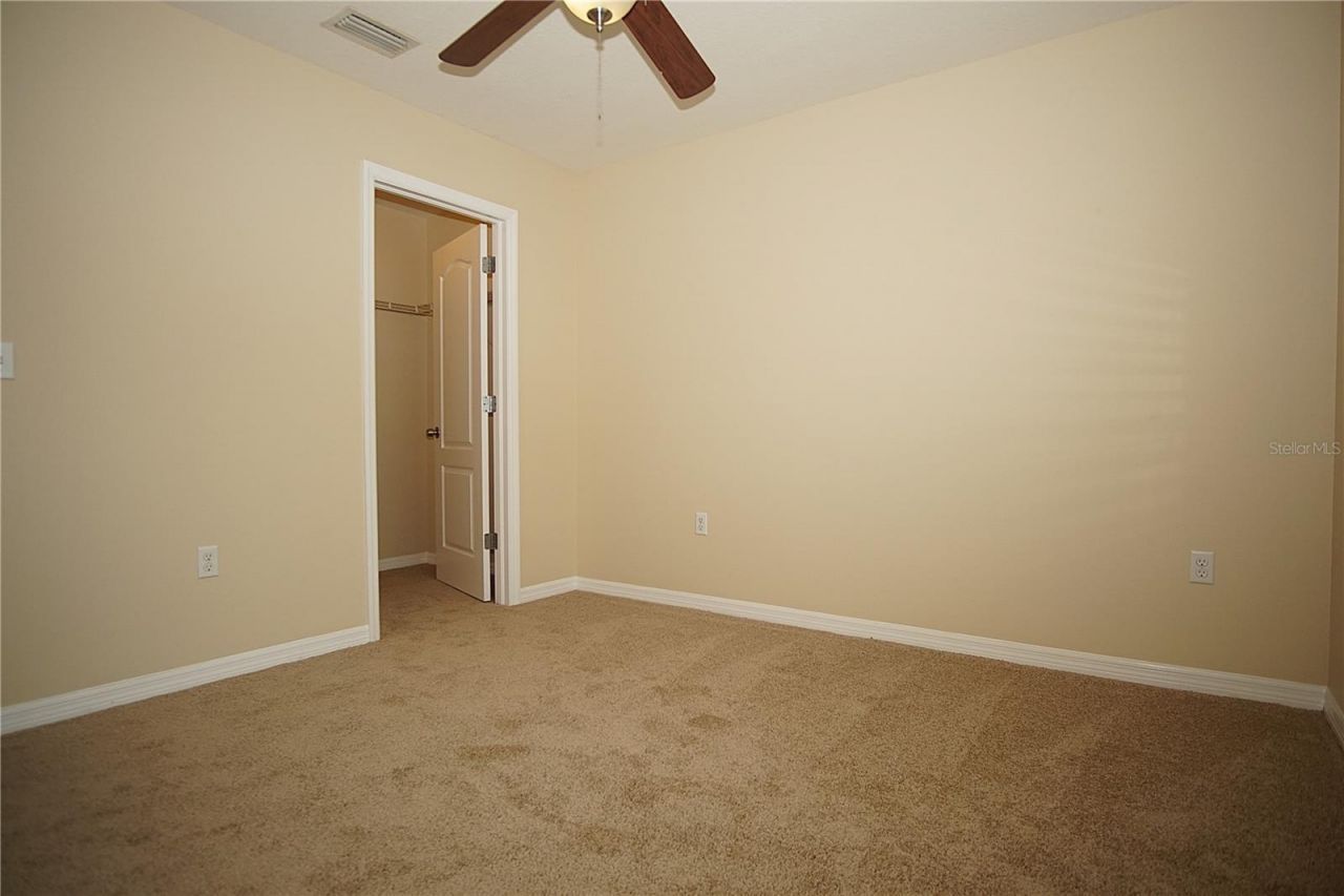 11406 Marbella Terrace Street, Tampa, FL 33637 Photo