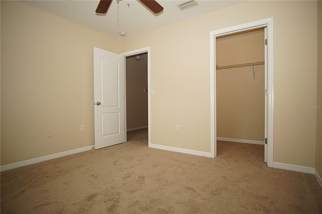 11406 Marbella Terrace Street, Tampa, FL 33637 Photo