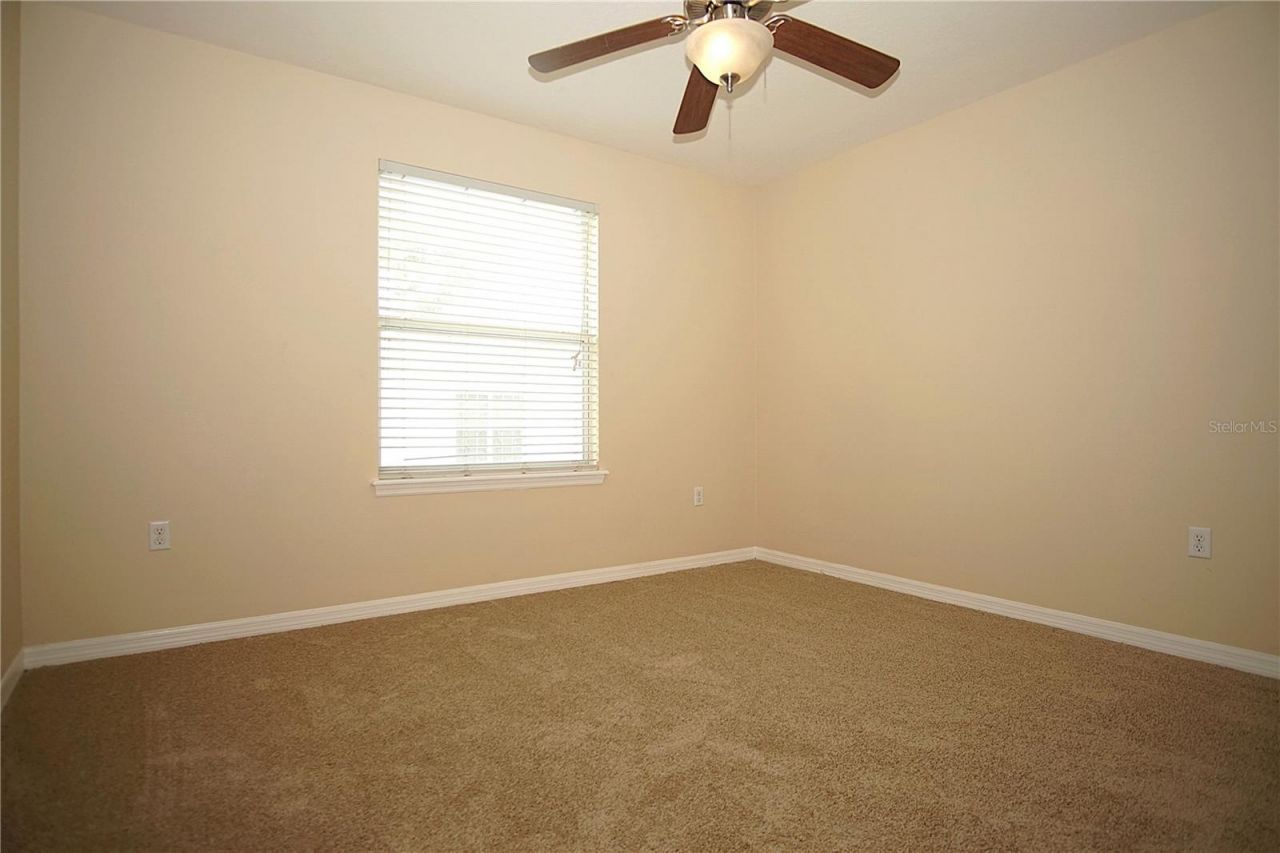 11406 Marbella Terrace Street, Tampa, FL 33637 Photo