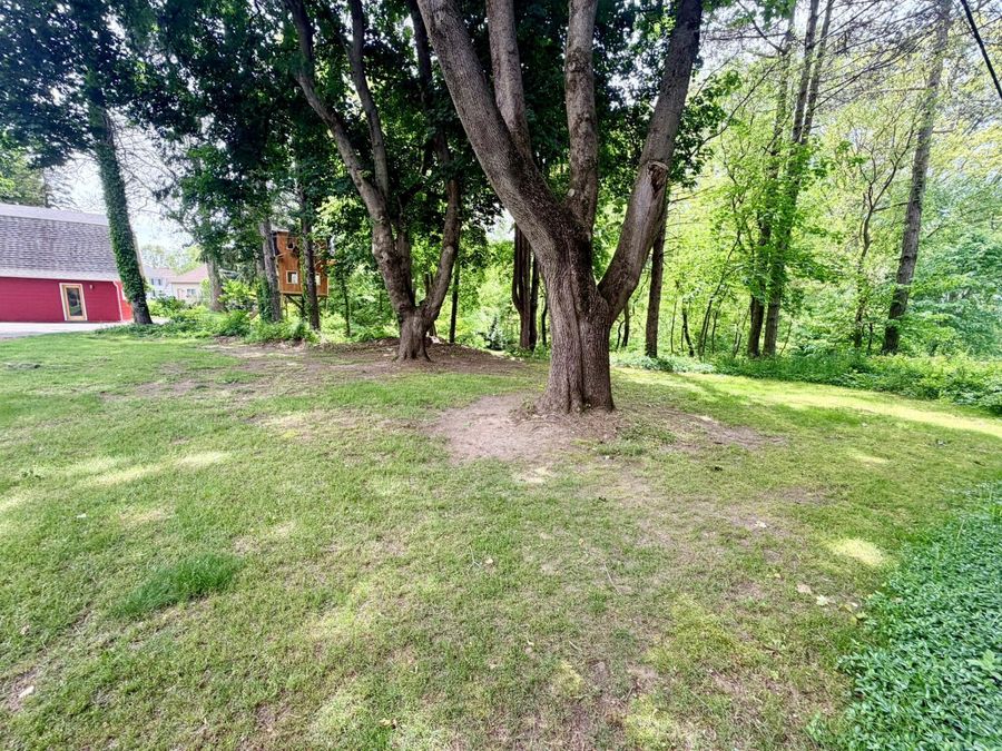 Property Image 53