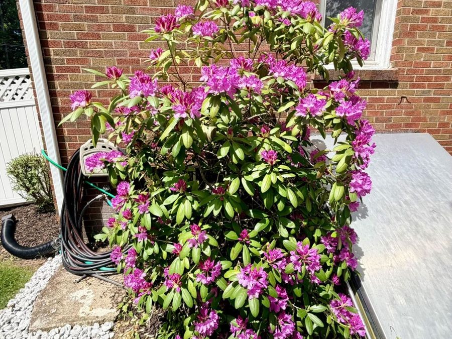 Property Image 56