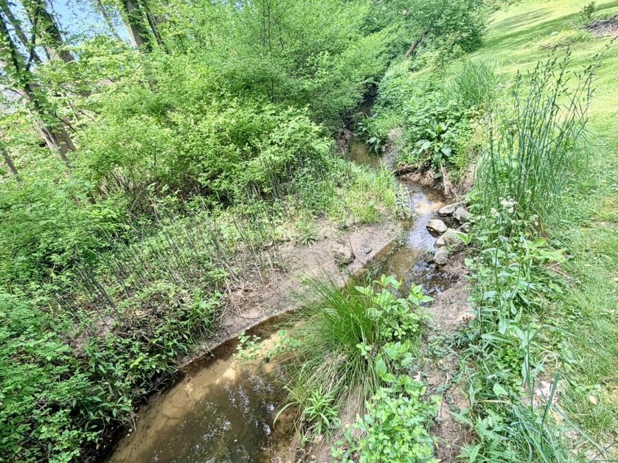 Property Image 67
