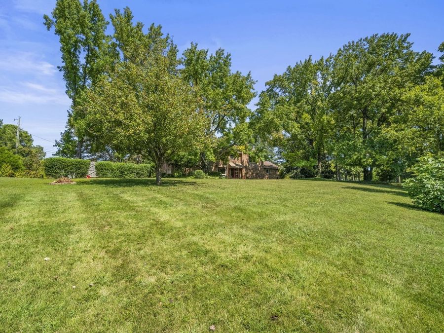 Property Image 61