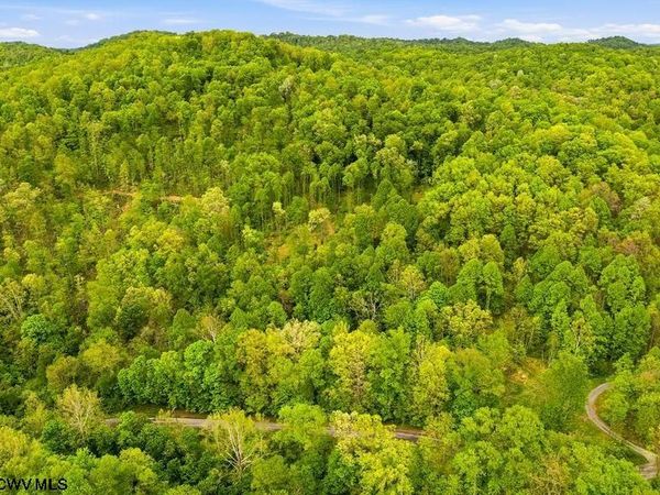 TBD Rock Camp Road, Wallace, WV 26448