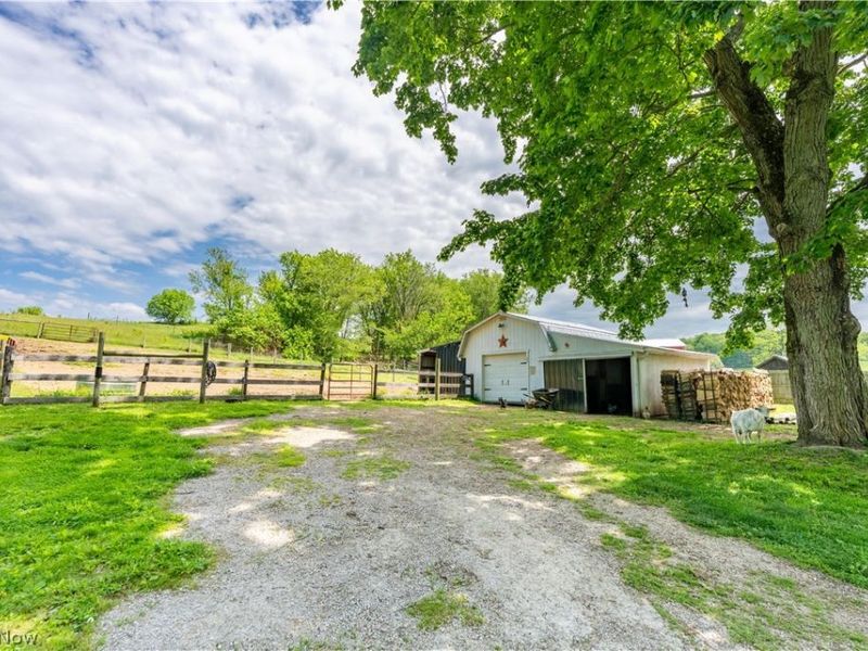 3190 Irish Road, Magnolia, OH 44643 Photo 6