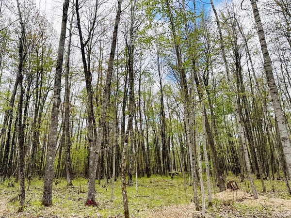 Lt4 CARRIE LANE, Beaver, WI 54114