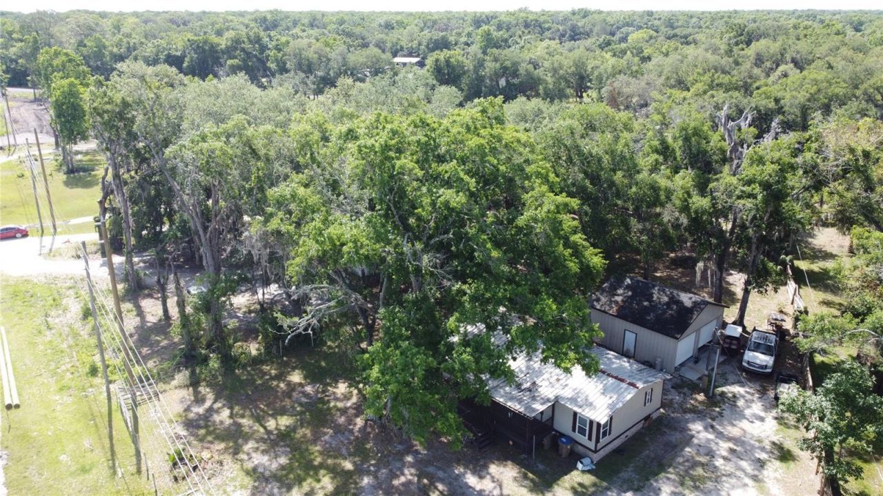 6590 Osceola Polk Line Road, Davenport, FL 33896 Photo