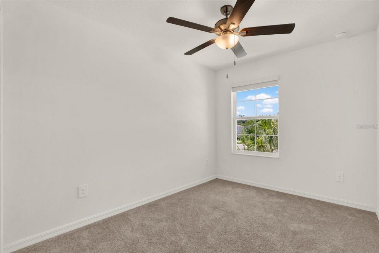 6144 Shiner Street , Land O Lakes, FL 34638 Photo