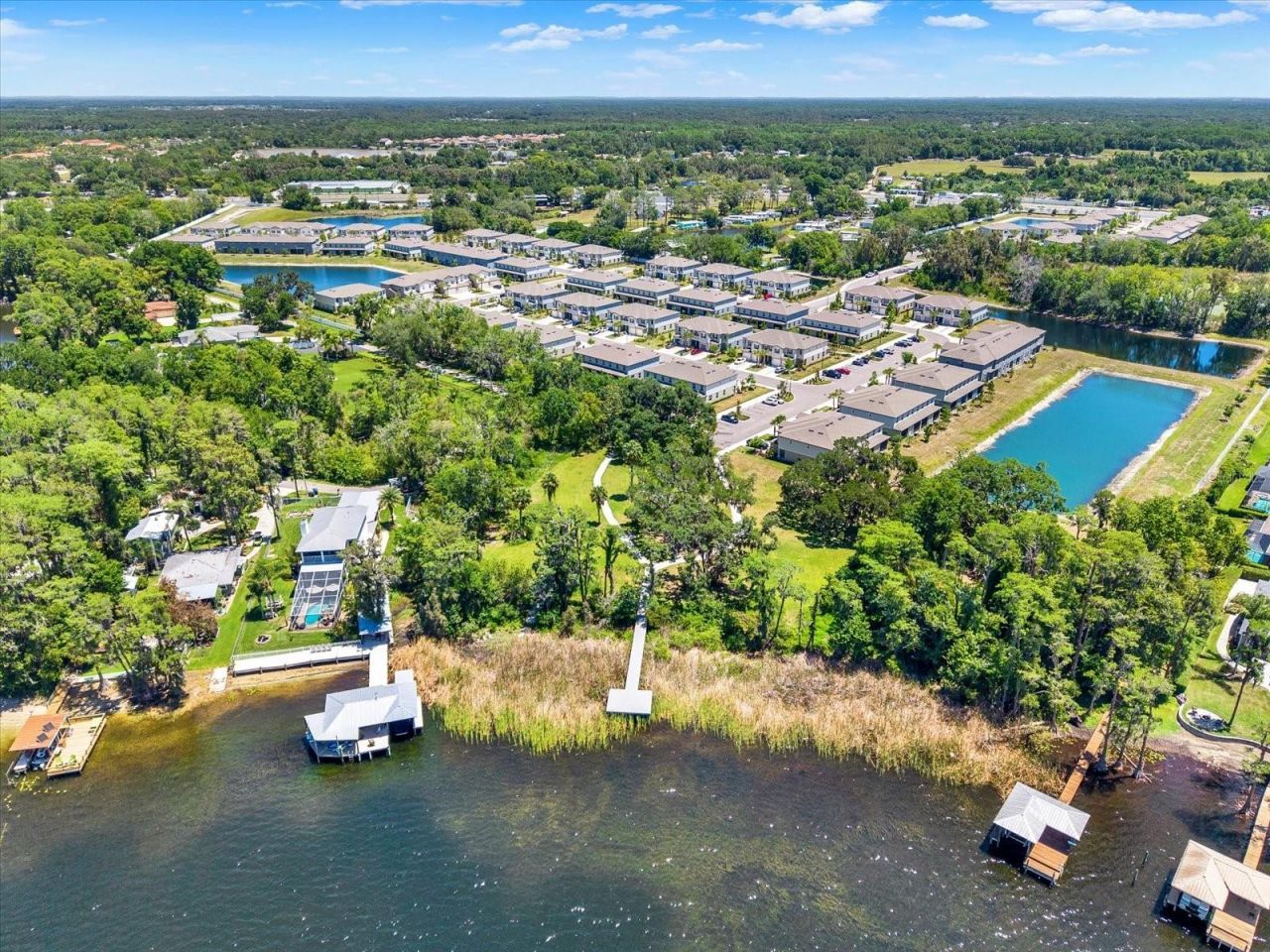 6144 Shiner Street , Land O Lakes, FL 34638 Photo