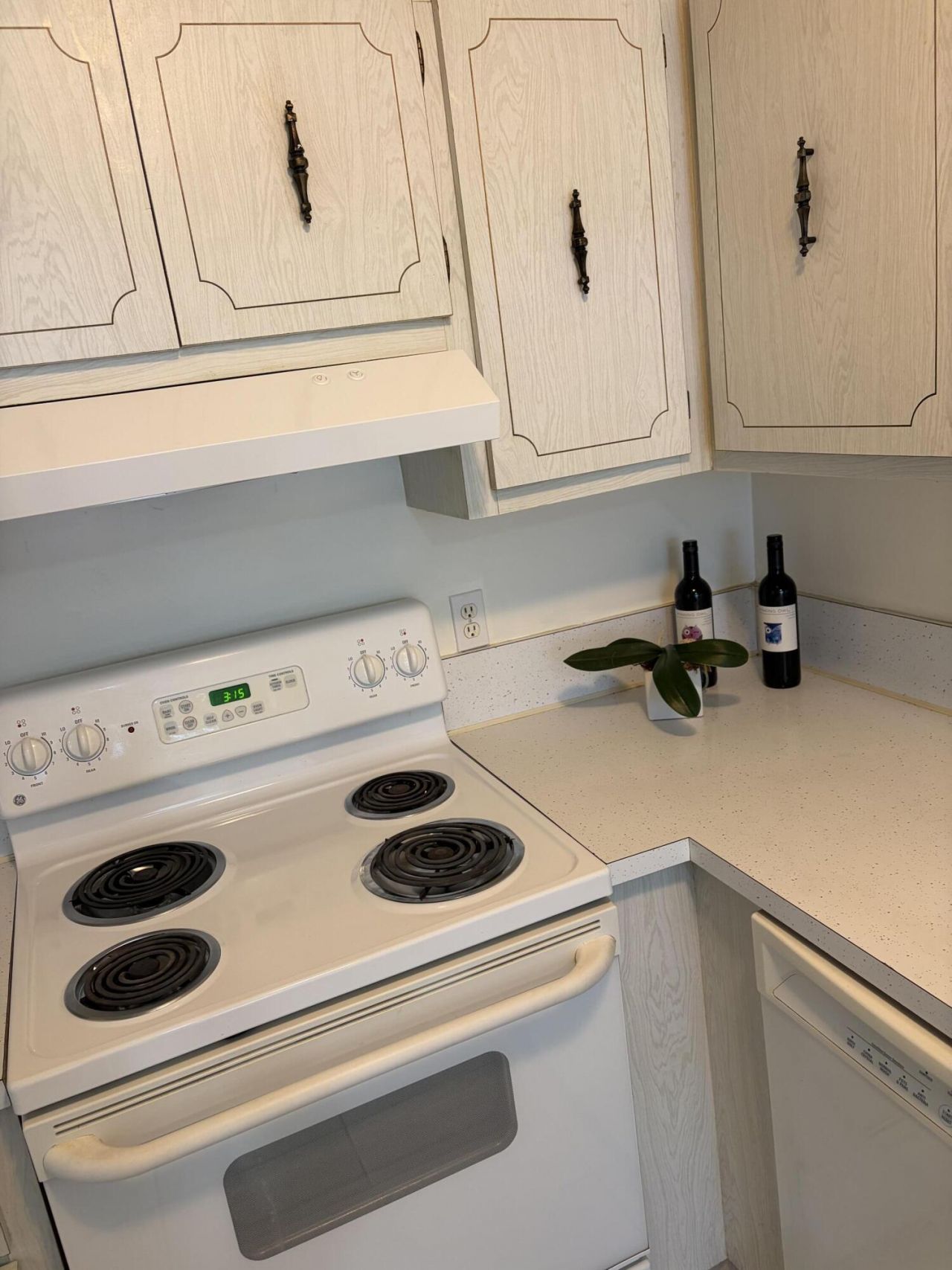 2520 Black Olive Boulevard, Unit 203, Delray Beach, FL 33445 Photo
