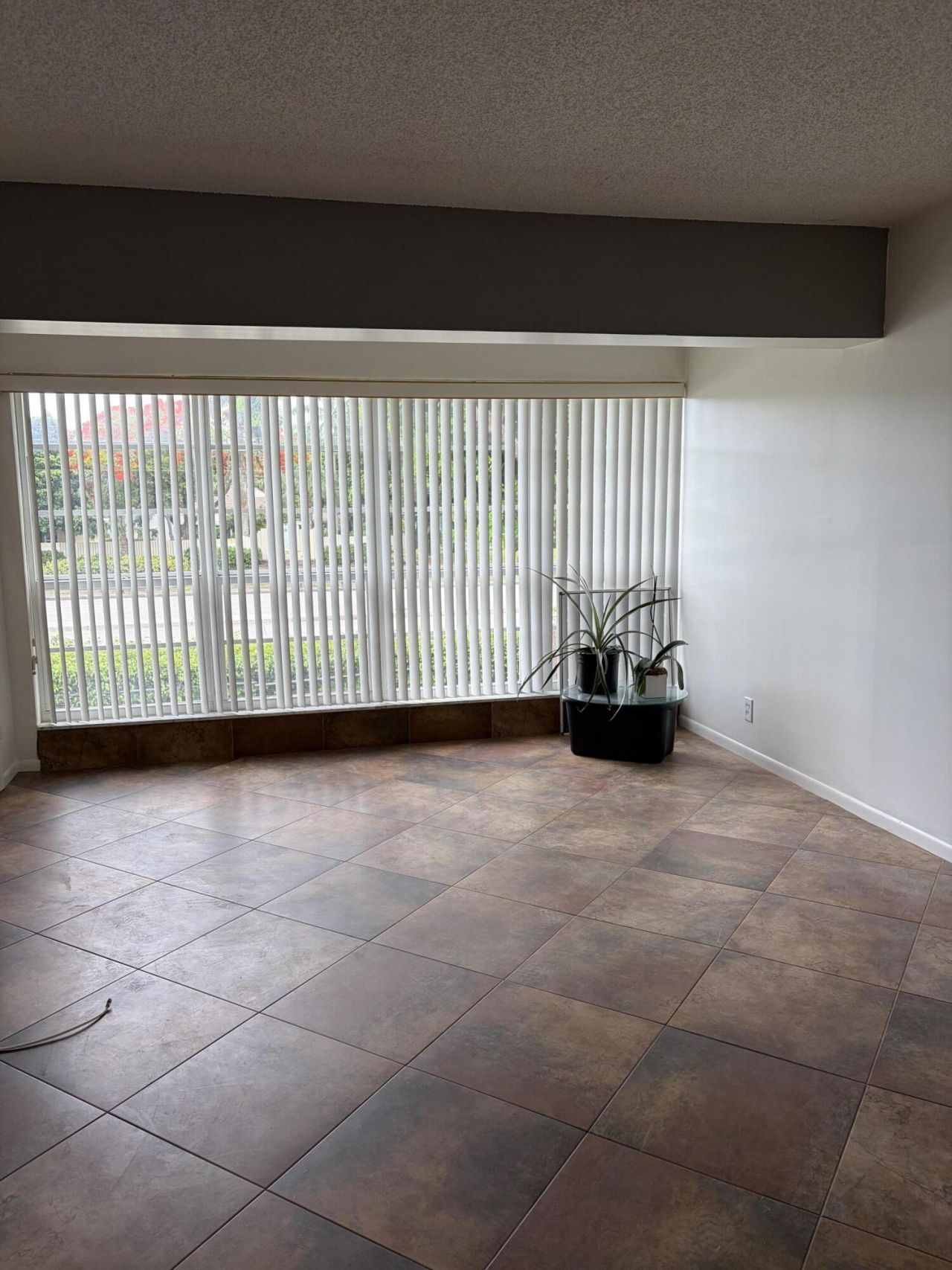 2520 Black Olive Boulevard, Unit 203, Delray Beach, FL 33445 Photo