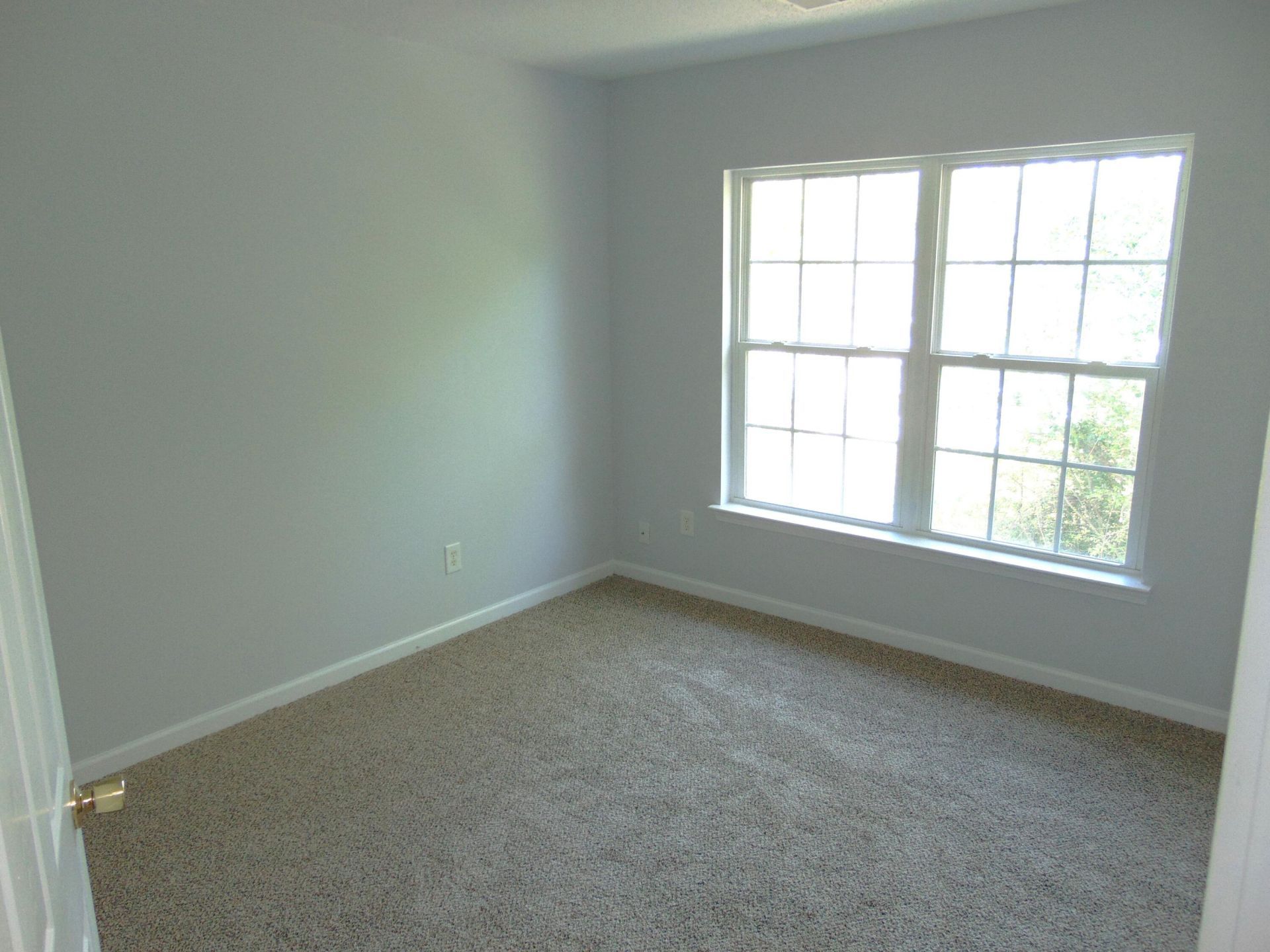 116 Spurrier Way Photo 18