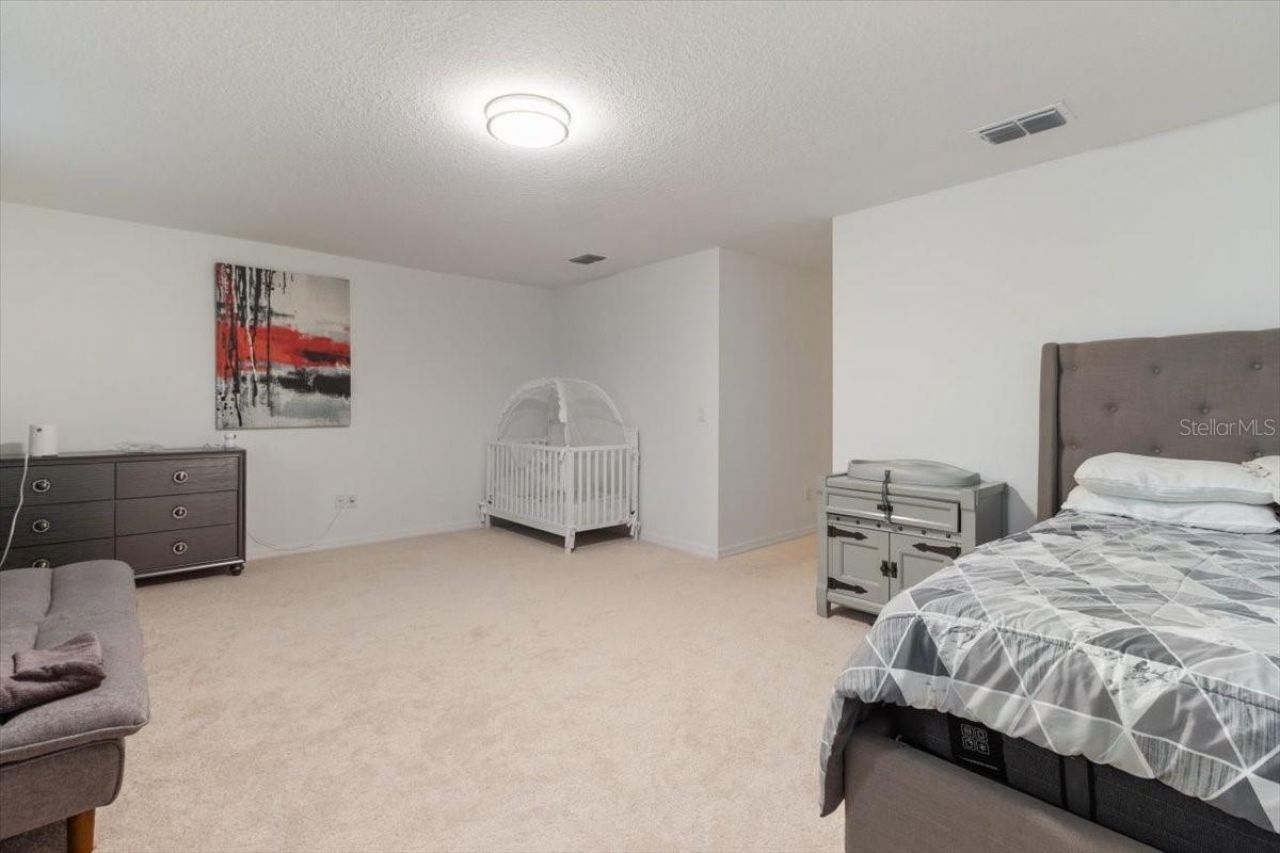 33239 Kateland Drive, Wesley Chapel, FL 33545 Photo