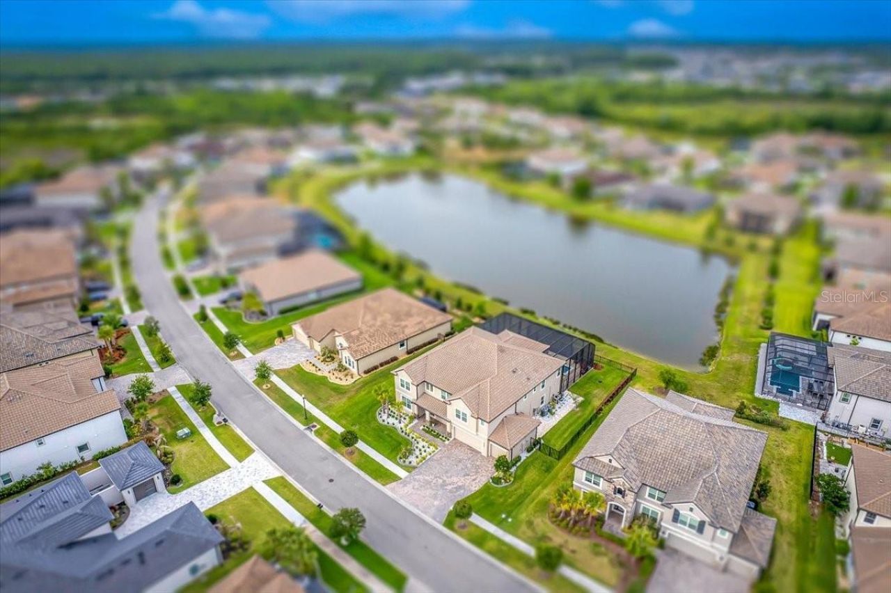 33239 Kateland Drive, Wesley Chapel, FL 33545 Photo