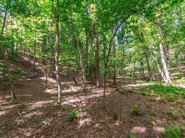LOT 22 Meadow Brook Trail , Morganton, GA 30560