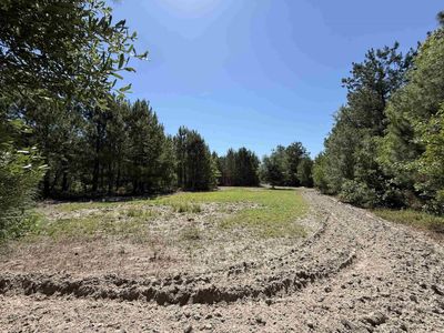43 Acres - 5432 Juneburn Rd. , Manning, SC 29102