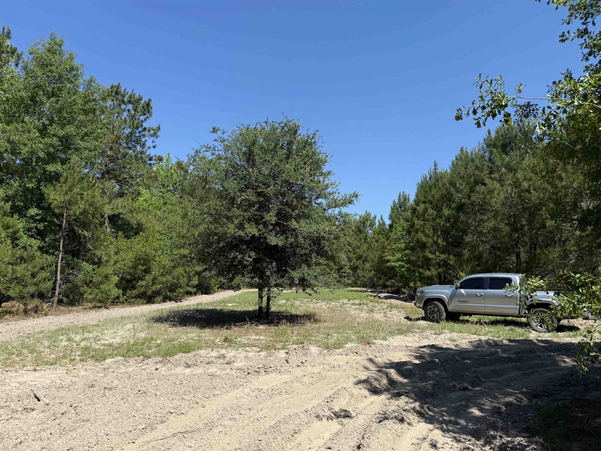 43 Acres - 5432 Juneburn Rd.  Photo 10